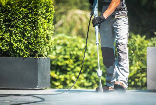 Best Vinyl Siding Pressure Washing in Oakbrook Terrace, IL