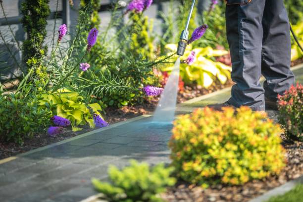 Best Driveway Cleaning and Restoration in Oakbrook Terrace, IL